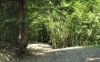 Terenuri Carpinis I parcelabil I Curent pe proprietati - Poză 60