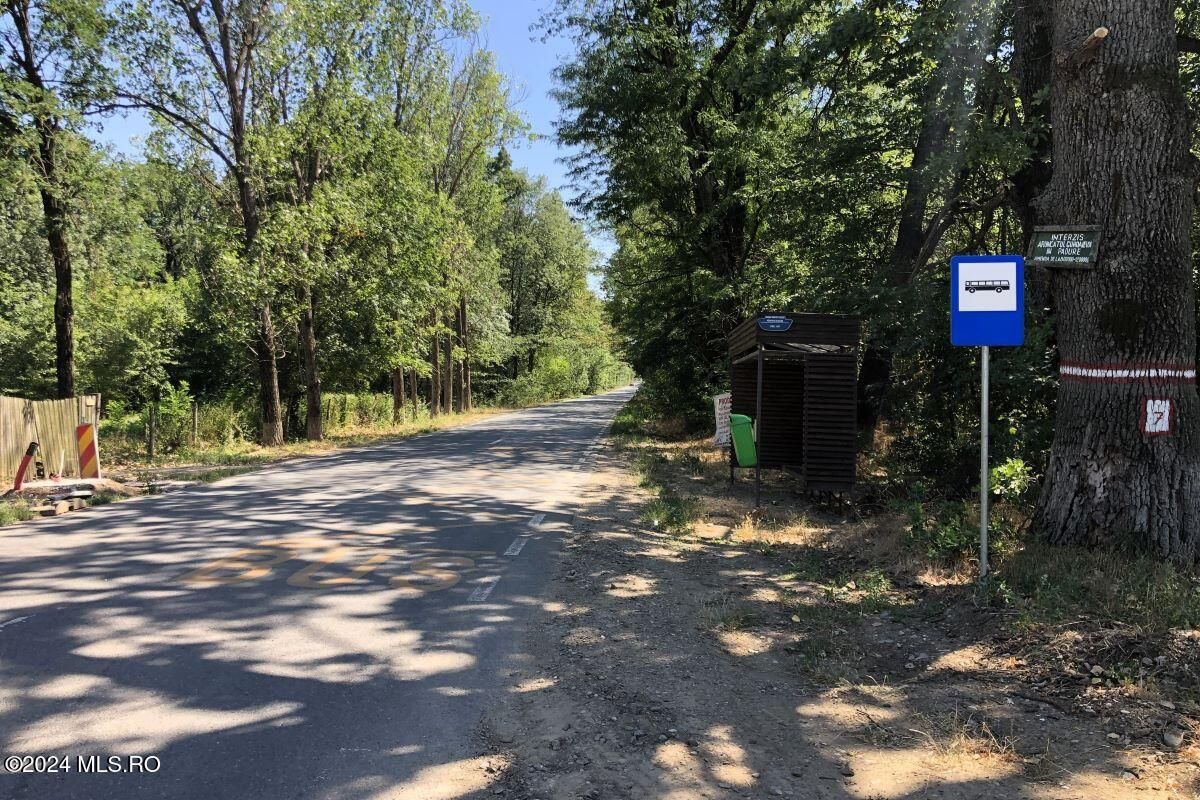 Moara Vlasiei - langa Padurea Biglaru, 11.884 mp, deschidere 40 ml - Poză 7
