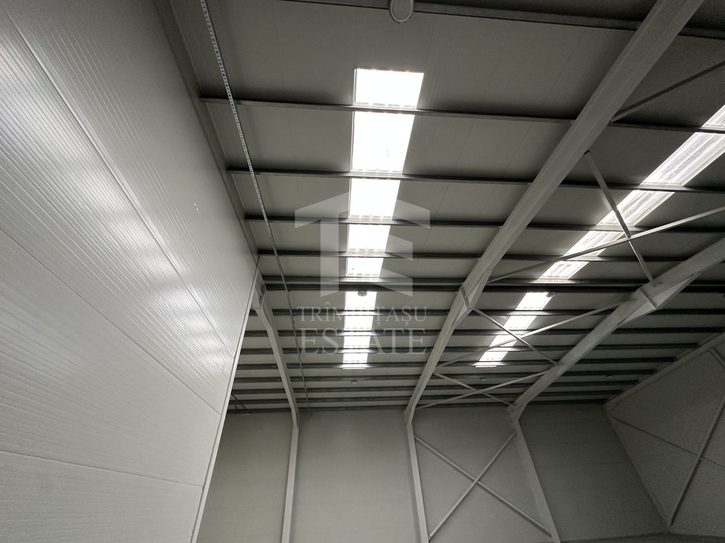 CENTURA - Rudeni | HALA 510 mp| Birouri 60mp | Parc Industrial nou - Poză 7
