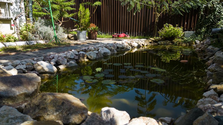 Casă individuală pe un nivel cu 5 camere, Lipova - Poză 8