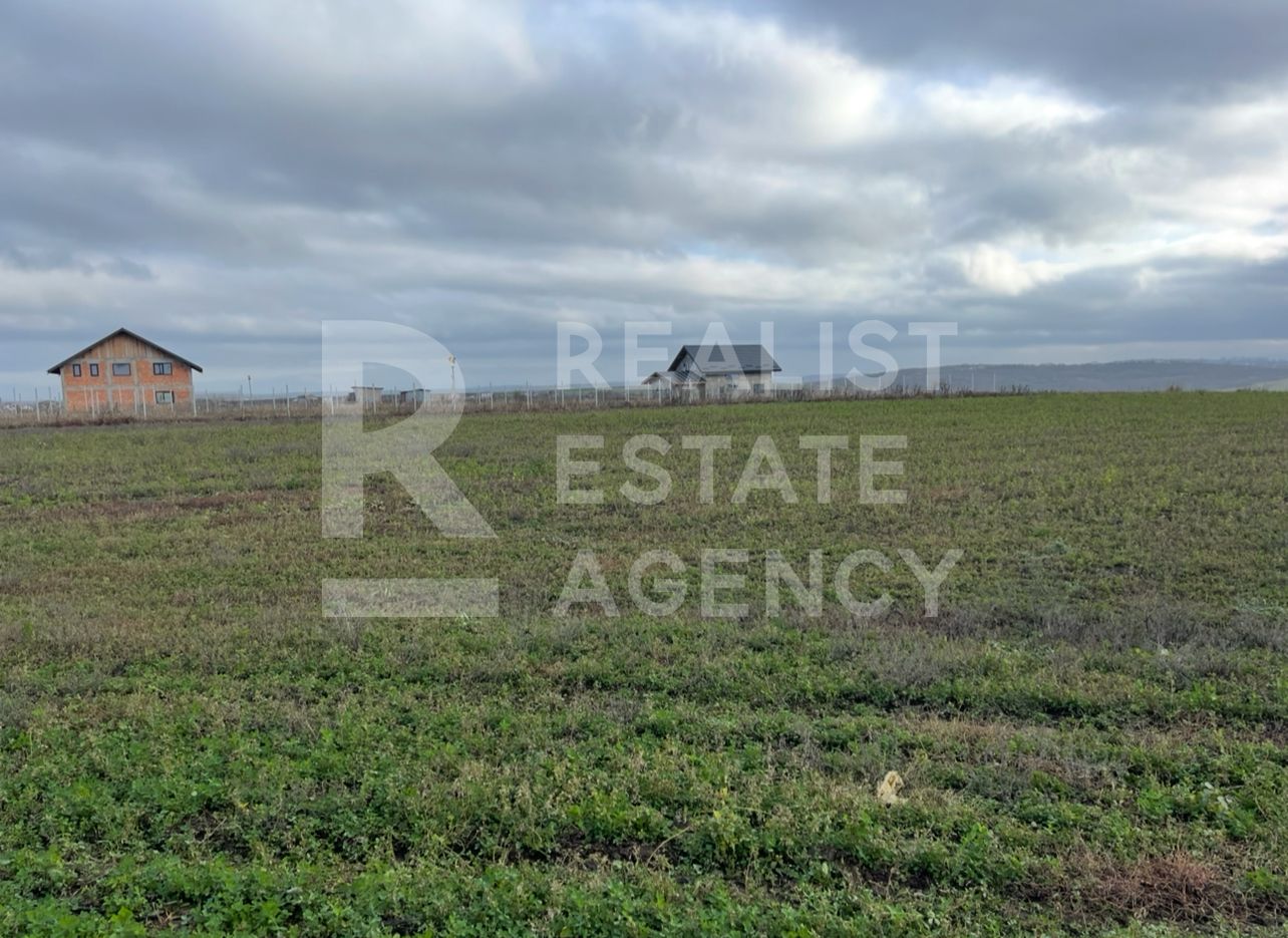 Teren 10.000 mp: 5.000 mp intravilan + 5.000 mp extravilan – Horlești - Poză 1