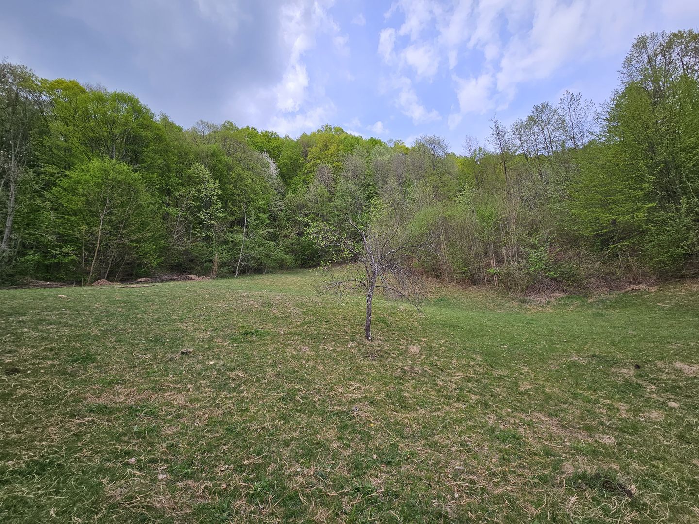 Teren intravilan 1454 mp la marginea padurii zona locuita de case! - Poză 11