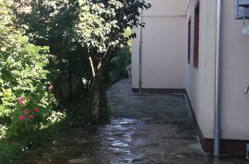 BRASADAS vinde casa individuala in zona Aurel Vlaicu. - Poză 16