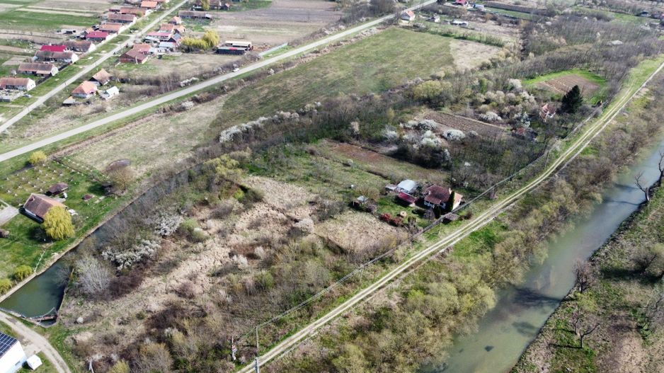 Teren intravilan Balint 22.500 mp - Poză 13