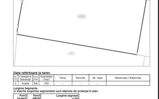 Teren intravilan 750mp de vanzare in zona Saldabagiu de Munte - Poză 3