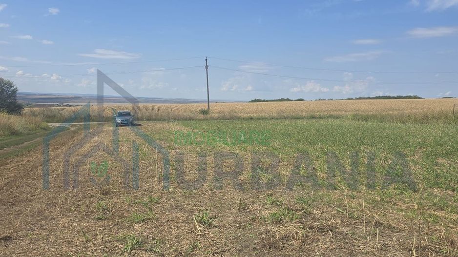 Teren construibil 500 mp, Platou Beldiman, Rediu - Poză 3