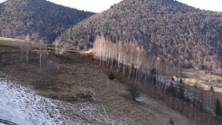 In locatia de basm: - Pestera, Moieciu, Brasov, utilitati, accesibilitate - Poză 29