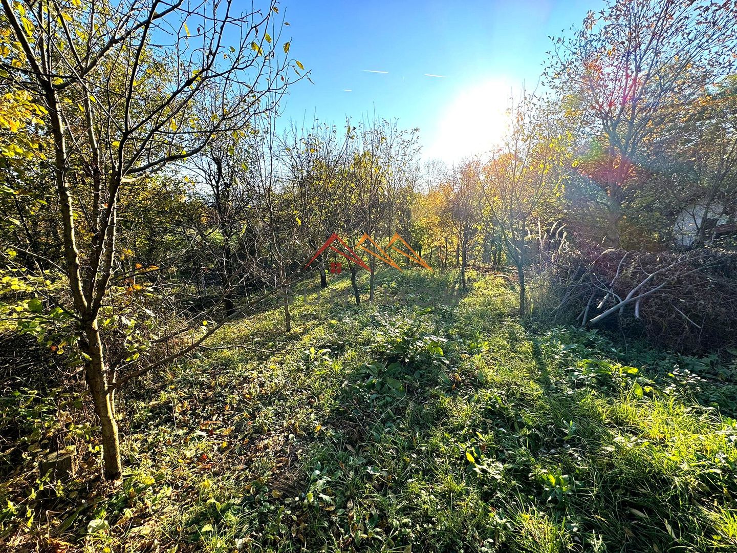 Vila S+P+E, priveliste deosebita, 6 camere, garaj, terasa, Cornu, PH - Poză 28