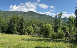 Teren intravilan 1662 mp pozitie superba-Calea Brasovului Valea Neagra - Poză 5