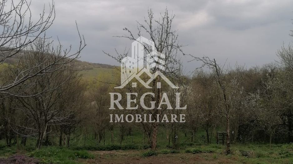 Casă de vânzare în Cerisor – liniște, natură și teren generos! - Poză 3