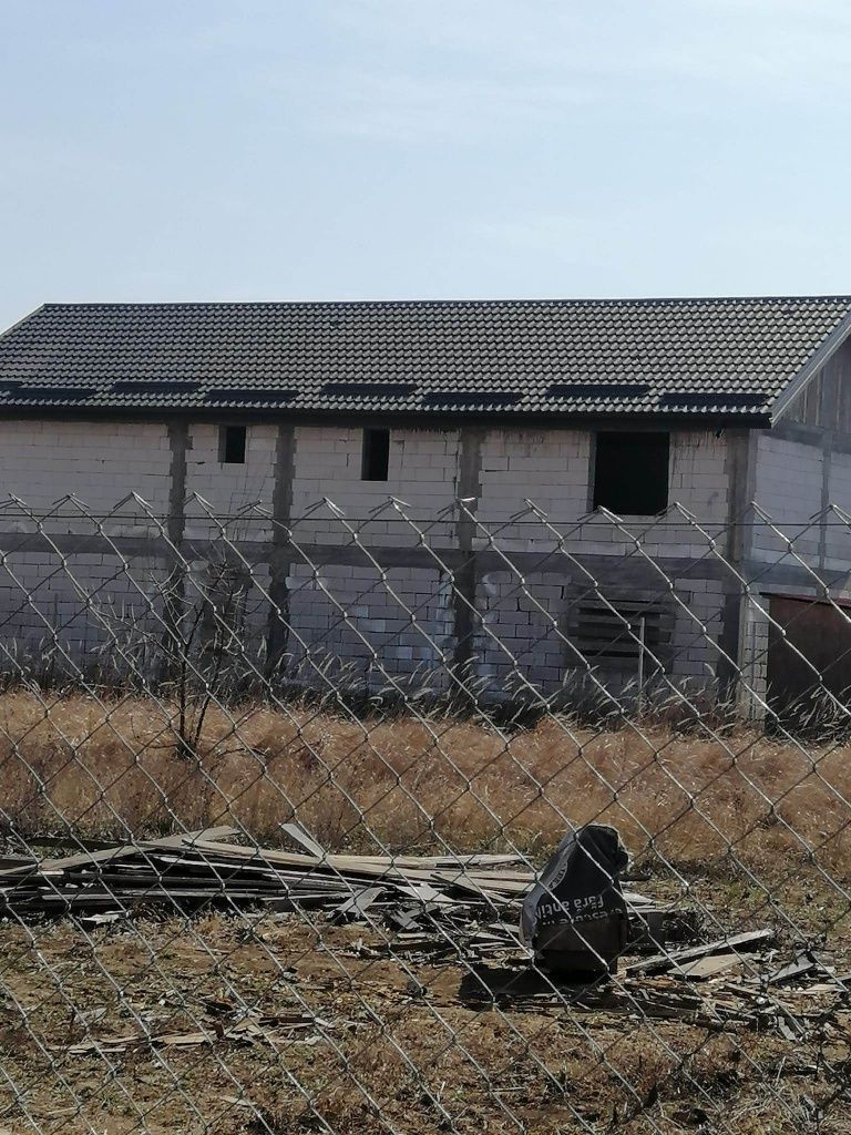 Vila de vanzare în magurele if - Poză 8