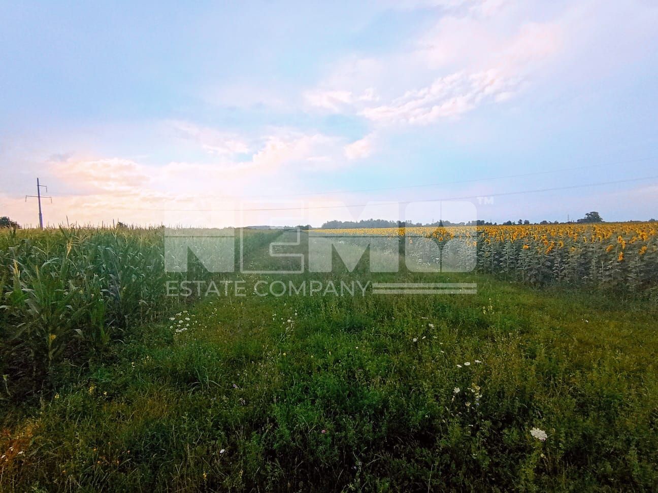 Teren extravilan de vânzare – 13 ari, deschidere la drum 7m - Poză 3