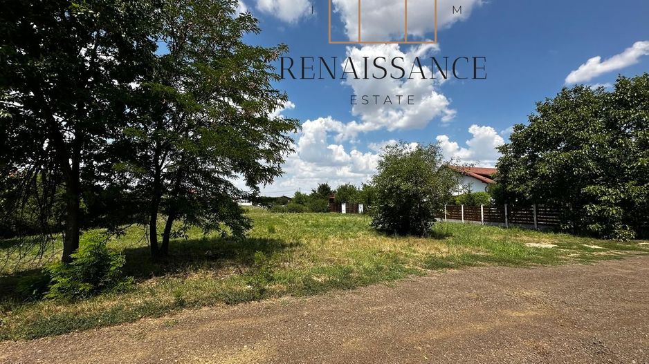 Dumbravita Teren Intravilan 1466mp Front 29m | Langa Padure - Poză 6