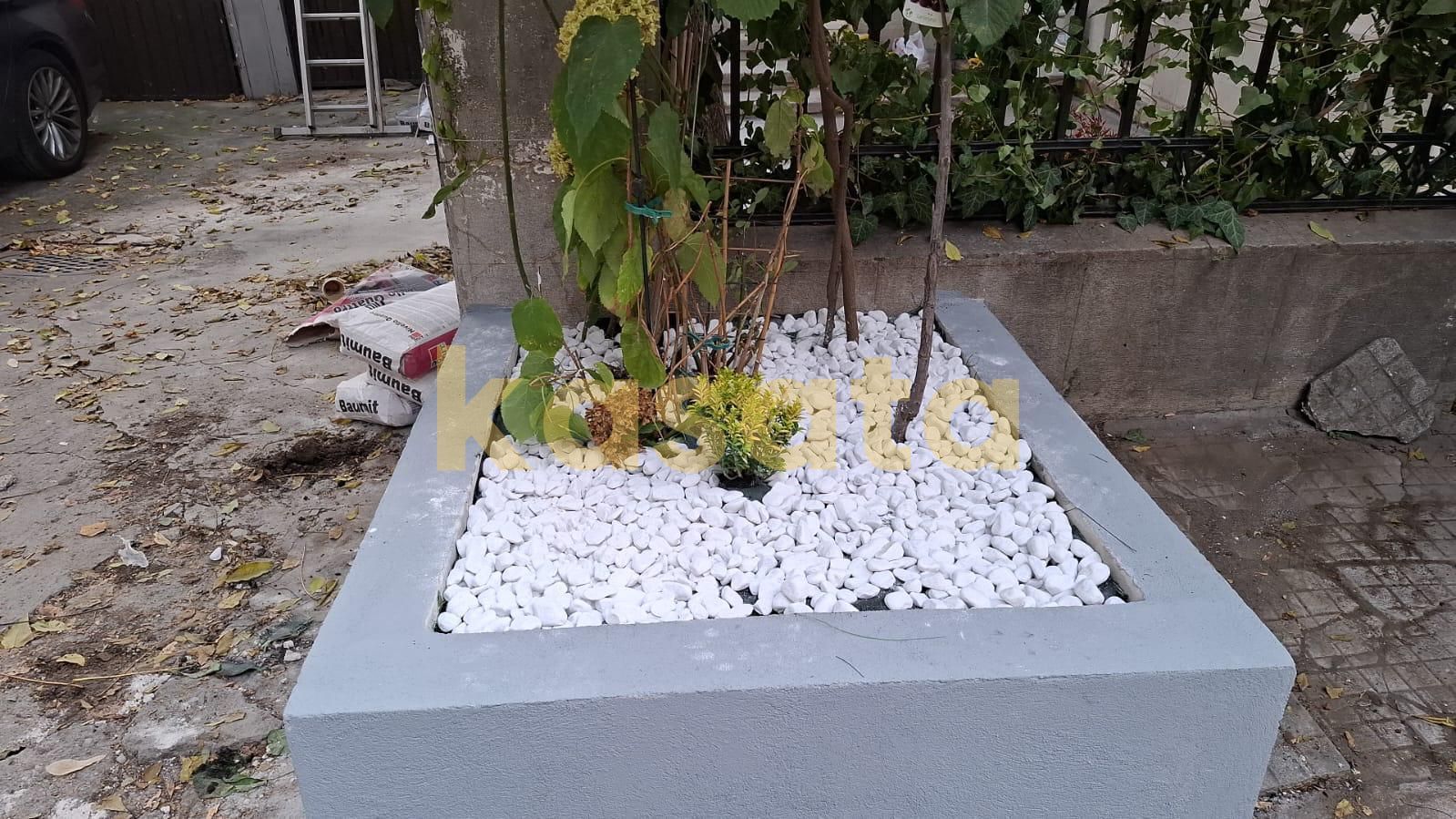 Apartament 5 camere | Dorobanți | Pretabil activități profesionale - Poză 30