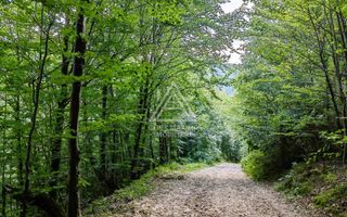 Casa,anexe si14.328 mp teren partial intravilan, com. Bulz, jud. Bihor - Poză 8