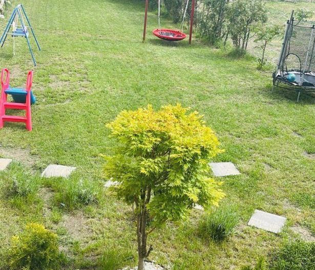 Casă 180 mp utili teren 710 mp panouri solare si hala in Sura Mare - Poză 13
