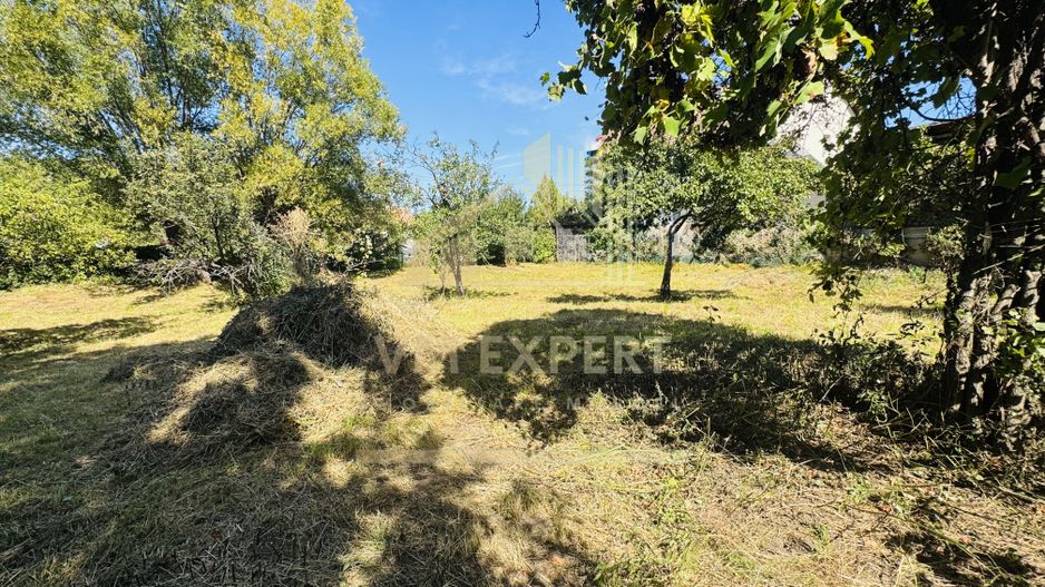 TEREN INTRAVILAN 3234 MP LEREȘTI VOINEȘTI ARGEȘ - Poză 1