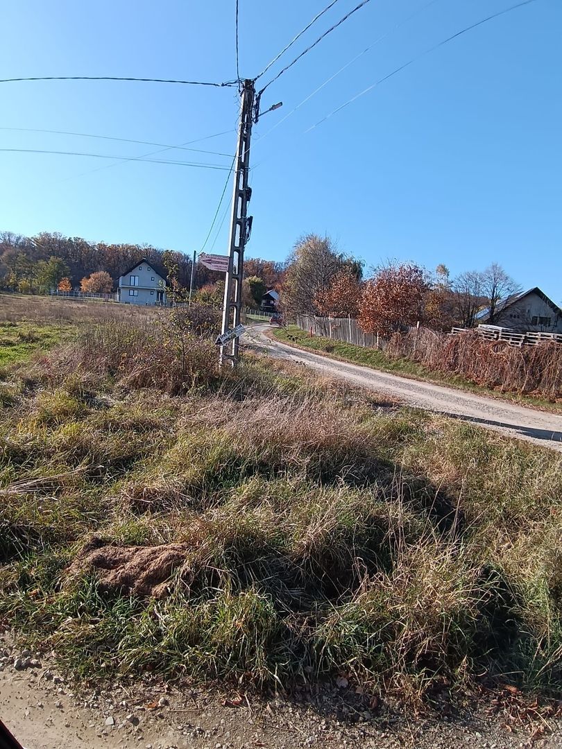 Teren langa Padure Dragomirna 40 Ari ISuceava/Dragomirna I 65.000Euro - Poză 5