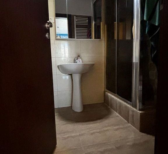 Apartament 3 camere zona Theodor Pallady - Ozana - Poză 10