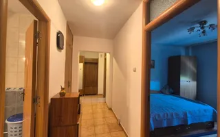 Centru Civic, apartament decomandat, ideal pentru un cuplu, pet friendly - Poză 14