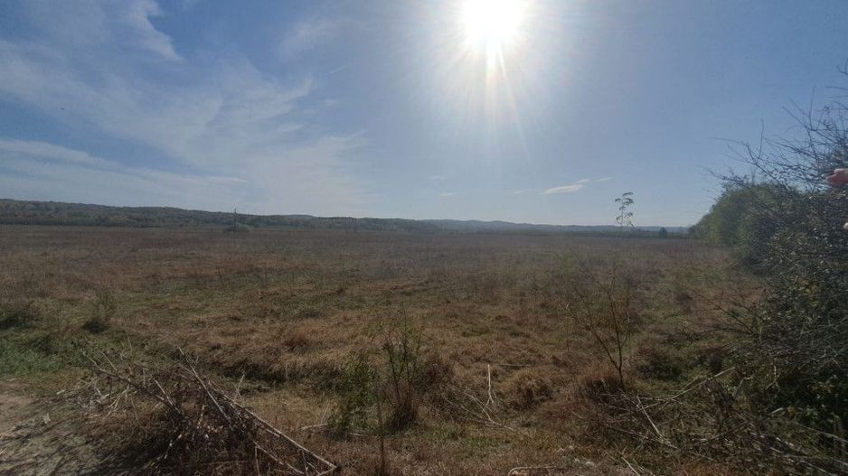 Vanzare teren arabil 22 Ha, plan, Arges, Moraresti - Poză 10