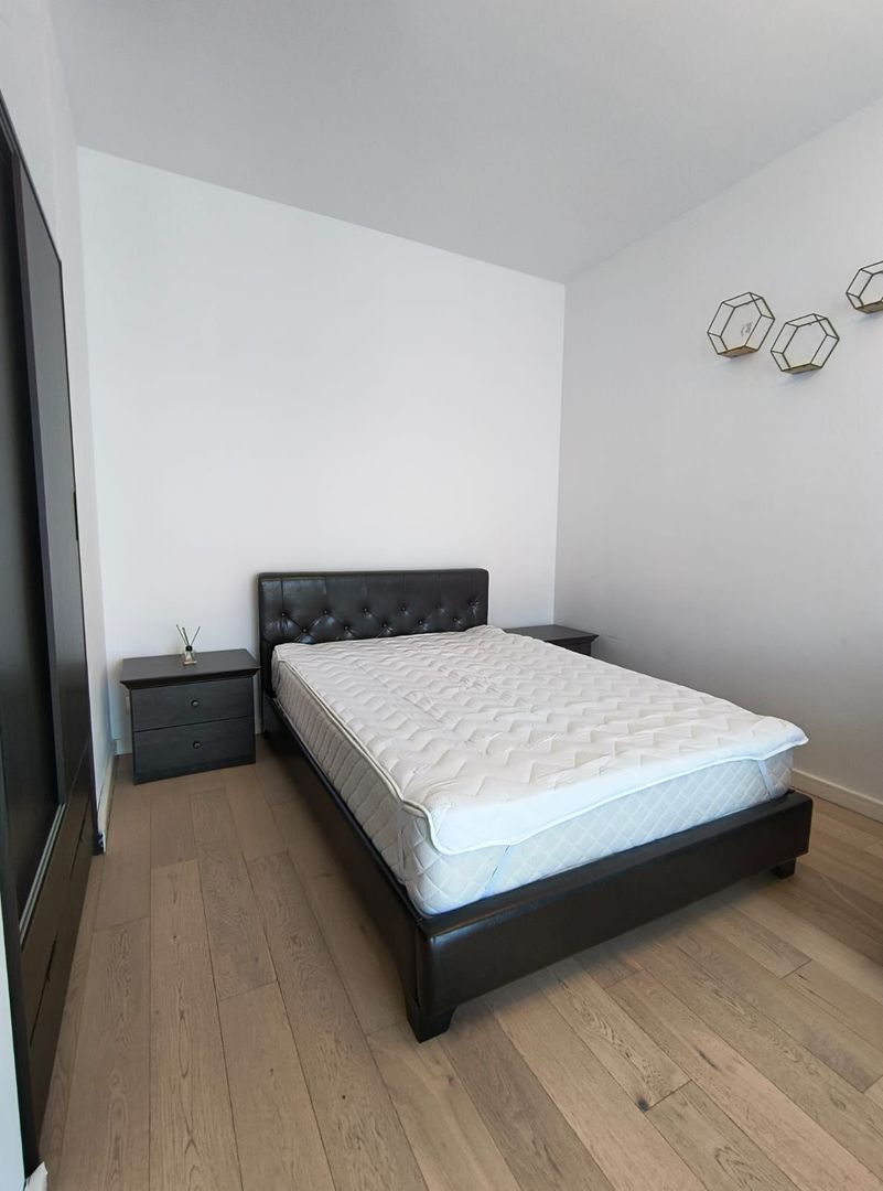 Ion Mihalache- Pta 1 Mai - Victoriei - Poză 2