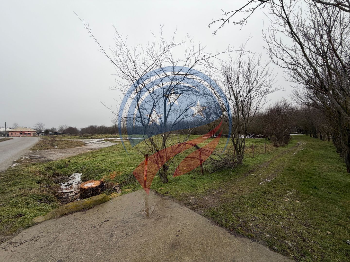 CASA CU TEREN 2500 MP LA 23 KM DE CRAIOVA CU TEAVA DE GAZE - Poză 3