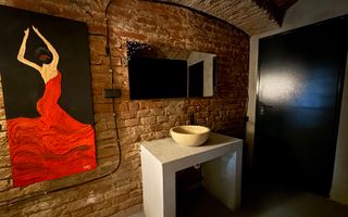 SAD - Spatiu comercial central de 160mp in Arad - ideal: crama, cafenea, magazin - Poză 8