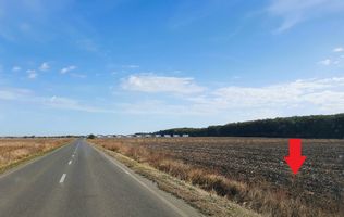 Teren de vânzare lângă pădure, intravilan