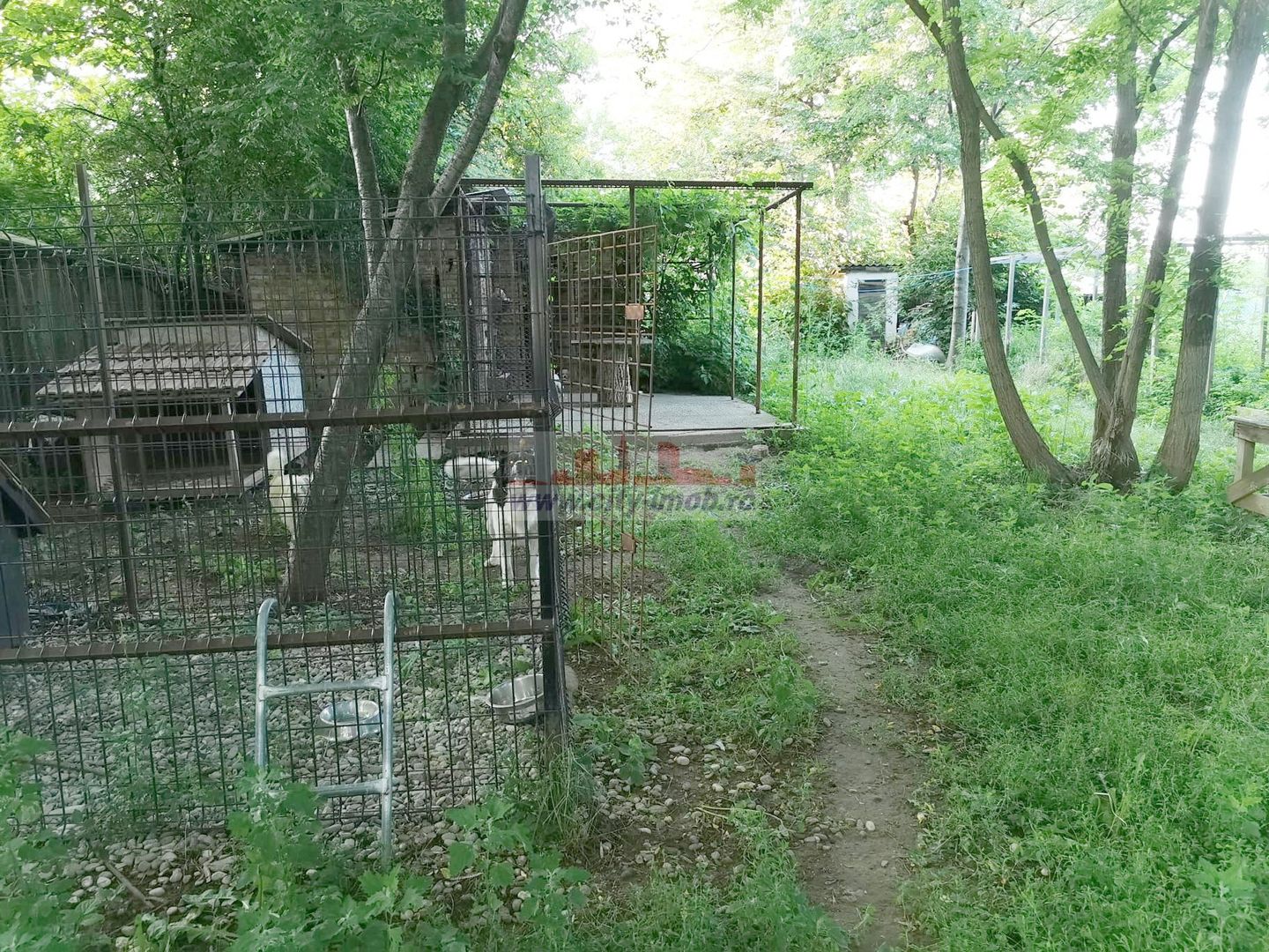 Vanzare casa conslidata Silistea Snagovului Com. Gruiu, Ilfov Snagov - Poză 33