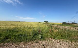 Teren 10 hectare pretabil pt panouri solare-Aricesti Rahtivani - Poză 5