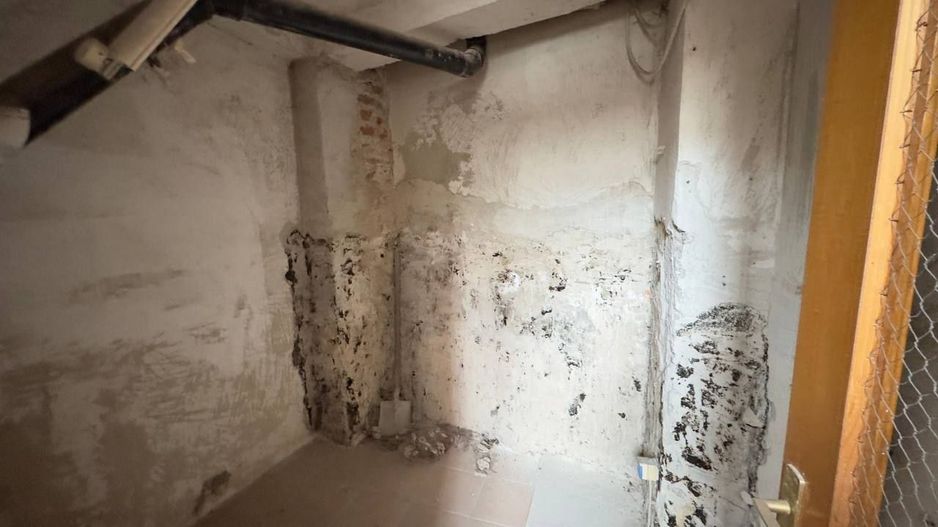 Vila cu 4 camere D+P+1 | Piata Unirii | Bd. Marasesti | 2 locuri parcare - Poză 29