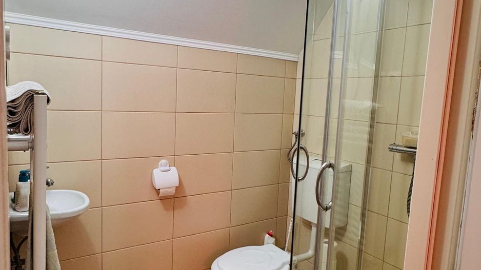 Casa parter si etaj - teren 1250 mp in Satu Nou Comuna Tamaseu - Poză 9