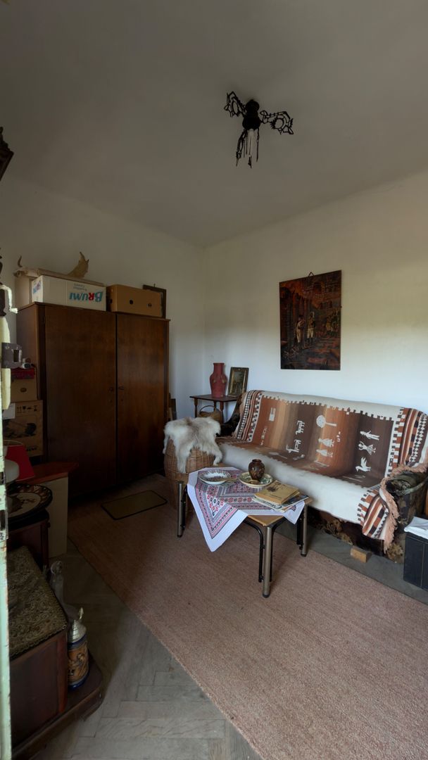 Casa | Bradetu, Arges | Crama | Tranfagarasan | Vidraru - Poză 17