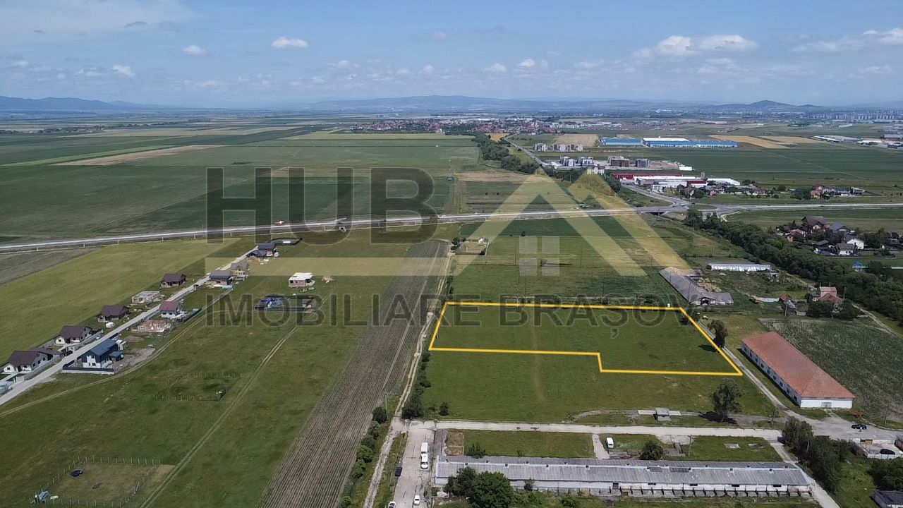 Oportunitate Investitie Cristian | Intravilan | Necesar PUZ | 9.650mp - Poză 4