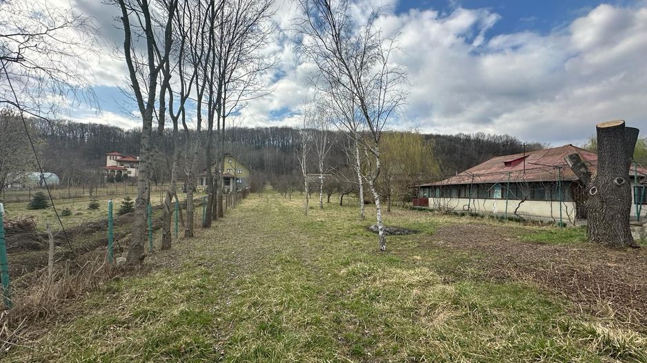 La liziera Padurii, intre case noi, acces drum asfaltat - Poză 2