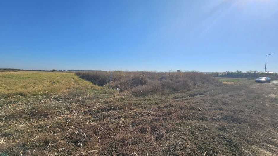Teren intravilan arabil de vânzare – Copăceni - Ilfov | 1.148 mp - Poză 2