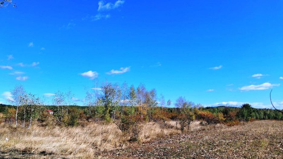 TEREN INTRAVILAN ȘI EXTRAVILAN BAIA DE FIER - Poză 5