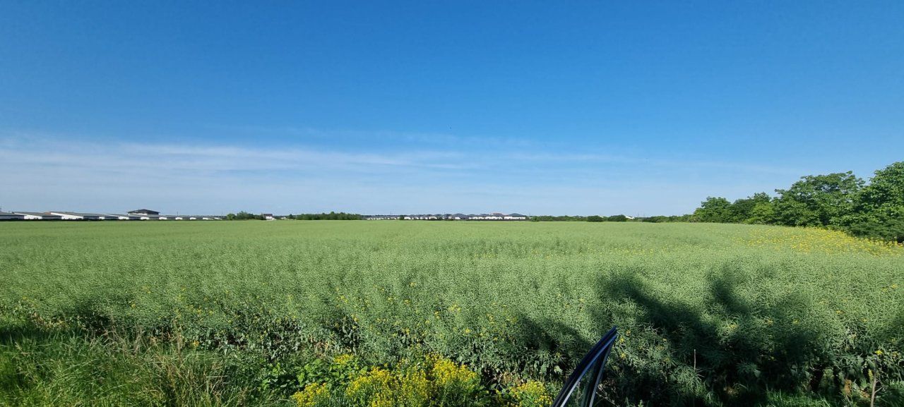 Ferma de Cultura Mare 1100 HA - Poză 7