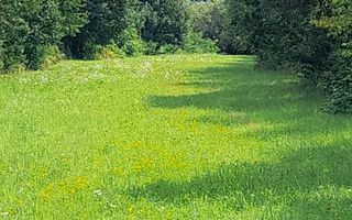 Teren Intravilan | 1500 MPU | Tocile, Comuna Sadu - Poză 6