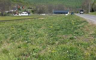 Teren intravilan 8900 mp-Sacadat-Sovata - Poză 1