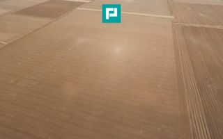 Teren agricol cu suprafața de 29.900 mp - Poză 5