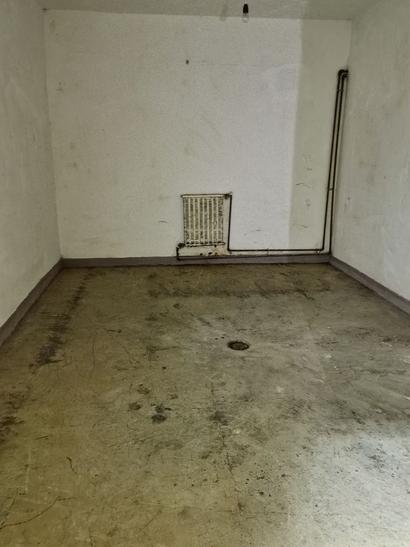 Spatiu industrial zona Sud-Arad - Poză 7