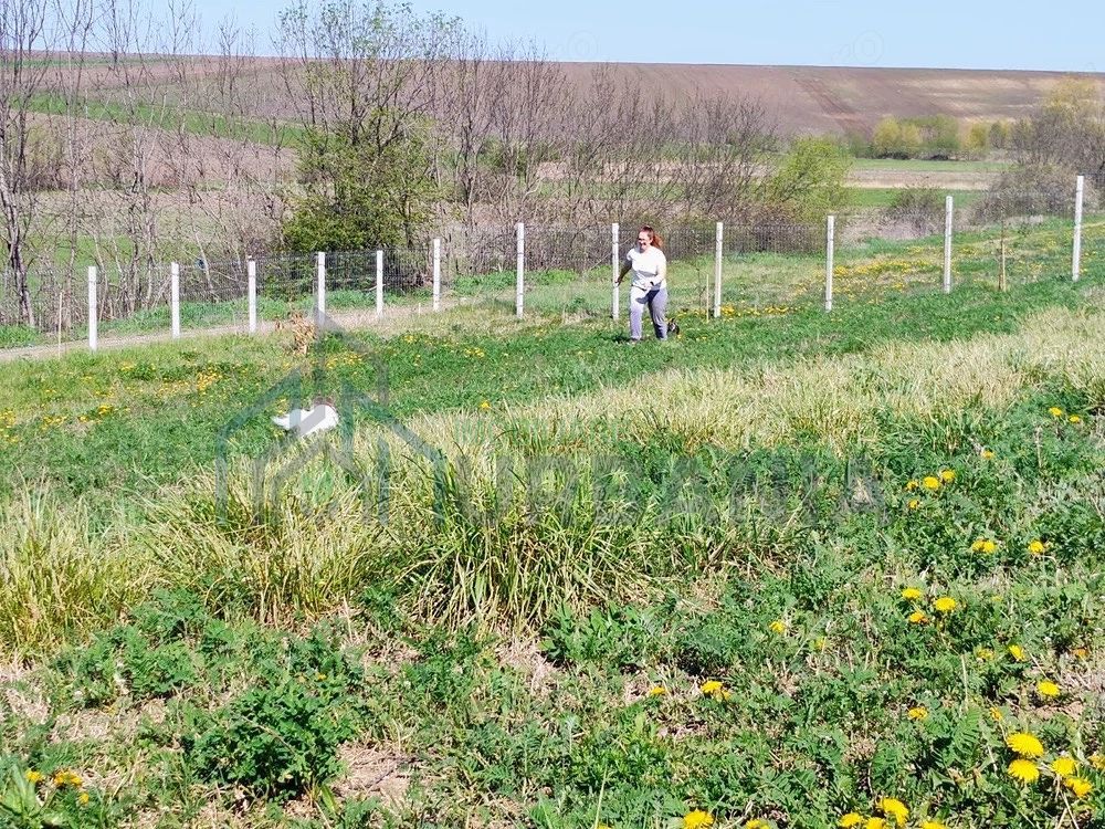 De închiriat: Teren comercial 1500 mp, Mogoșești, DJ 248C, utilități - Poză 5