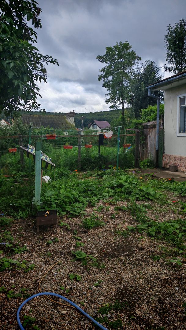 Casa individuala cu 3 camere,CODLEA - DUMBRAVITA ,65000 euro - Poză 6