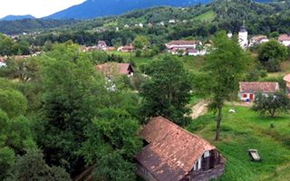 Teren de investiție în Moieciu, lângă Castelul Bran – 11.381 mp, vedere Bucegi - Poză 1