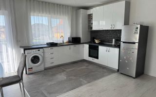 Apartament 2 camere Dumbravita - Poză 2