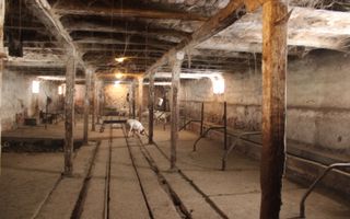 Ferma de Vânzare – Oportunitate Unică! - Poză 17