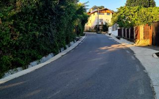 Teren Intravilan 3250 mp / Casa batraneasca / Pausesti Maglasi - Poză 7