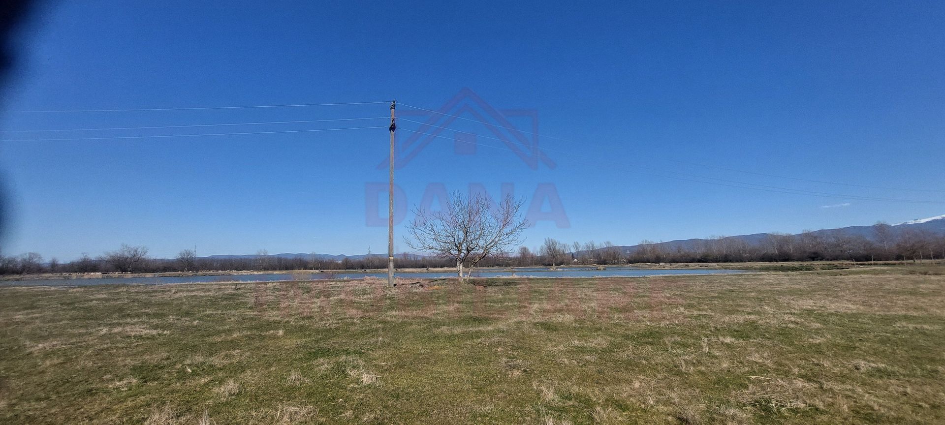 TEREN CU PLANTAȚIE DE TRANDAFIRI ,,ROSA DAMASCENA,\ \CARANSEBEȘ\JUD.CS - Poză 2